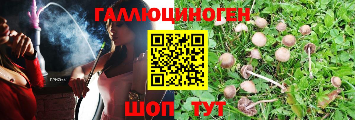 Галлюциногенные грибы Psilocybe  Галлюциногенные грибы Magic Shrooms  Новошахтинск  Вход с VPN 
